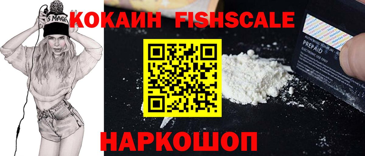 Cocaine Fish Scale  КОКАИН  Курчалой  Вход с VPN  COCAIN Fish Scale 